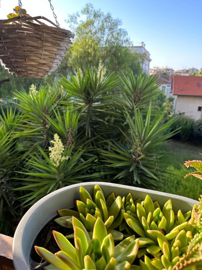 Location De Chambre Privee Dans Residence Prive, Jardins Et Parking Gratuit 1 Min To Tramway Et 9 Min De Centre-Ville, Accessibilite A Plusieurs Transports Ница Екстериор снимка